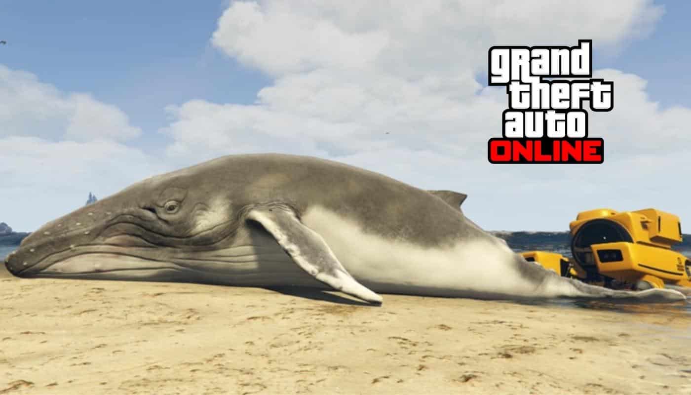 Leia mais sobre o artigo Como encontrar baleias encalhadas no GTA Online