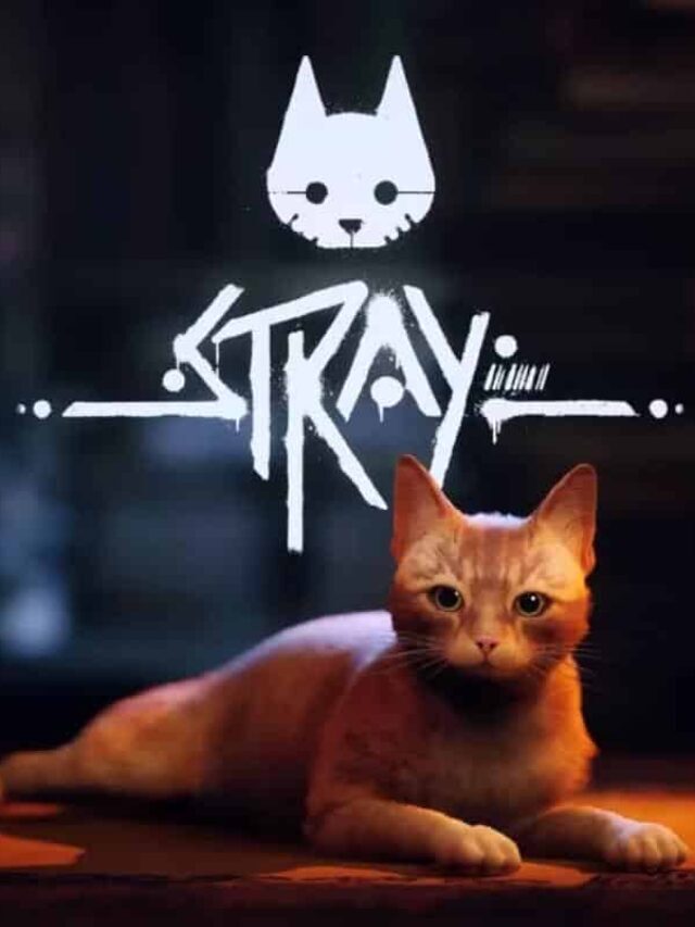 O gato em Stray pode morrer dentro do jogo? - GamesUP