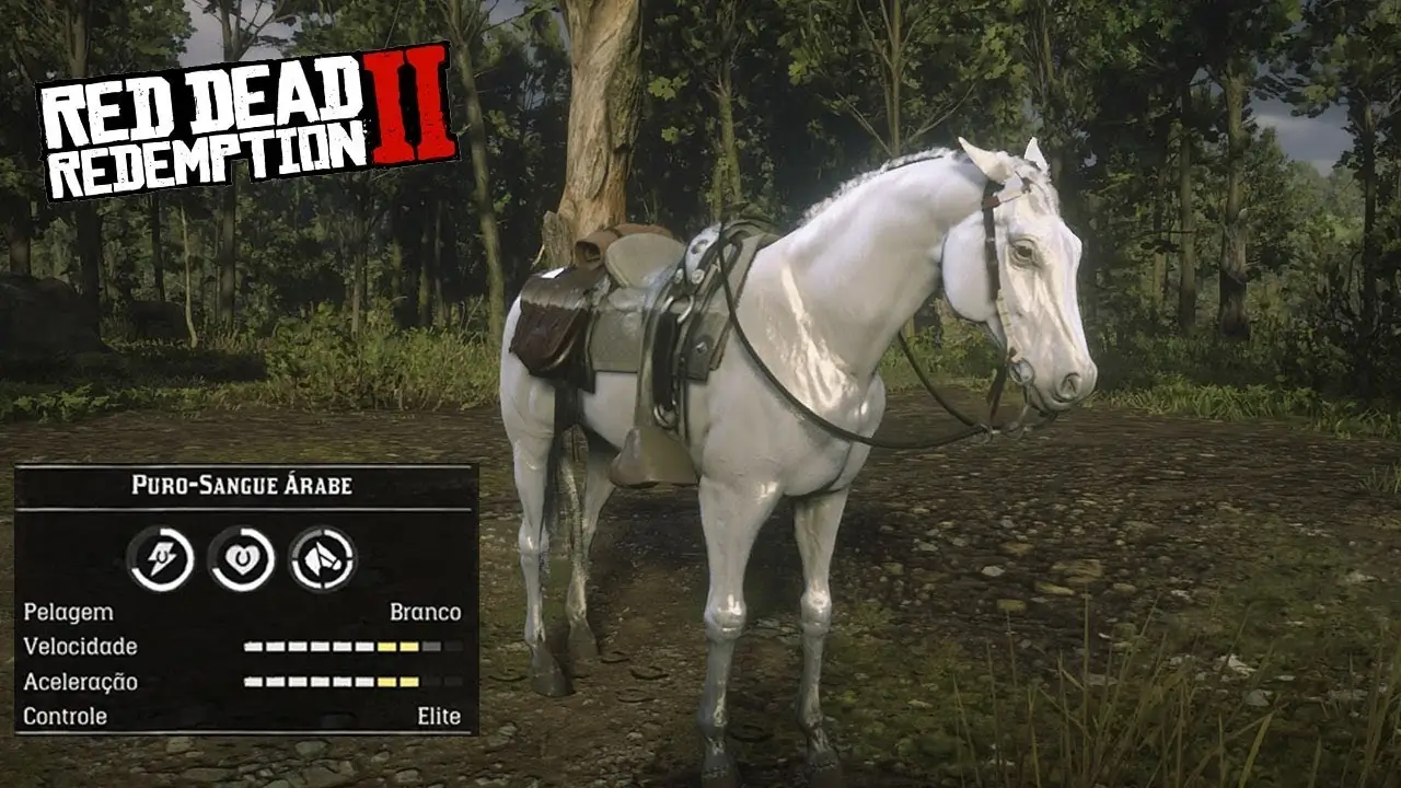 Leia mais sobre o artigo Como encontrar o cavalo árabe branco em Red Dead Redemption 2 fácil