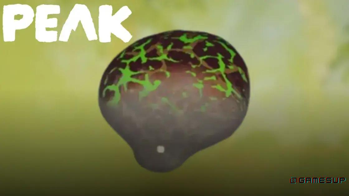 Remédio Fungos em Peak