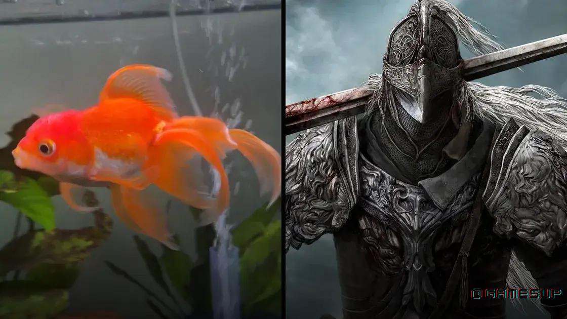 goldfish que joga Elden Ring