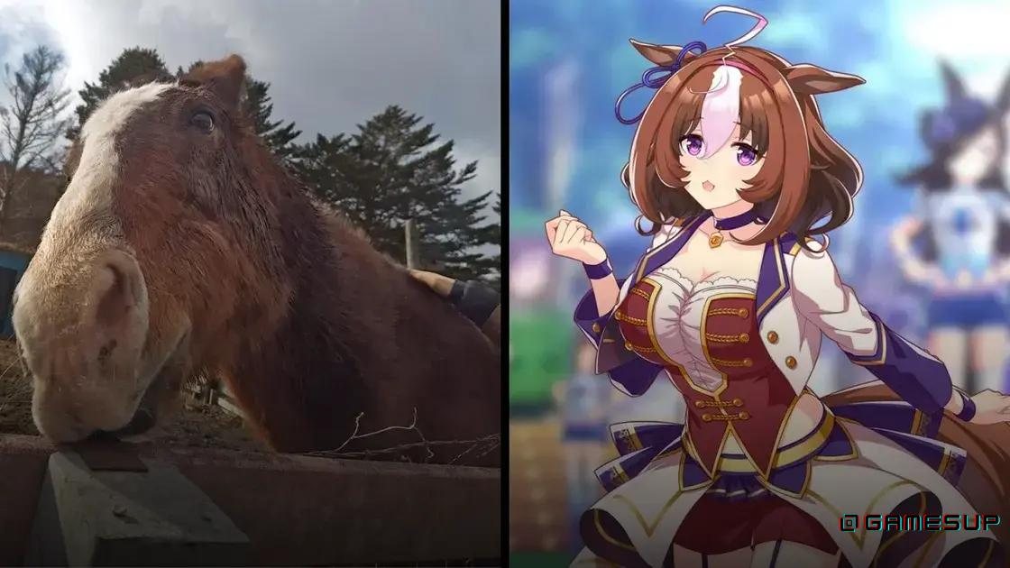 umamusume meisho doto