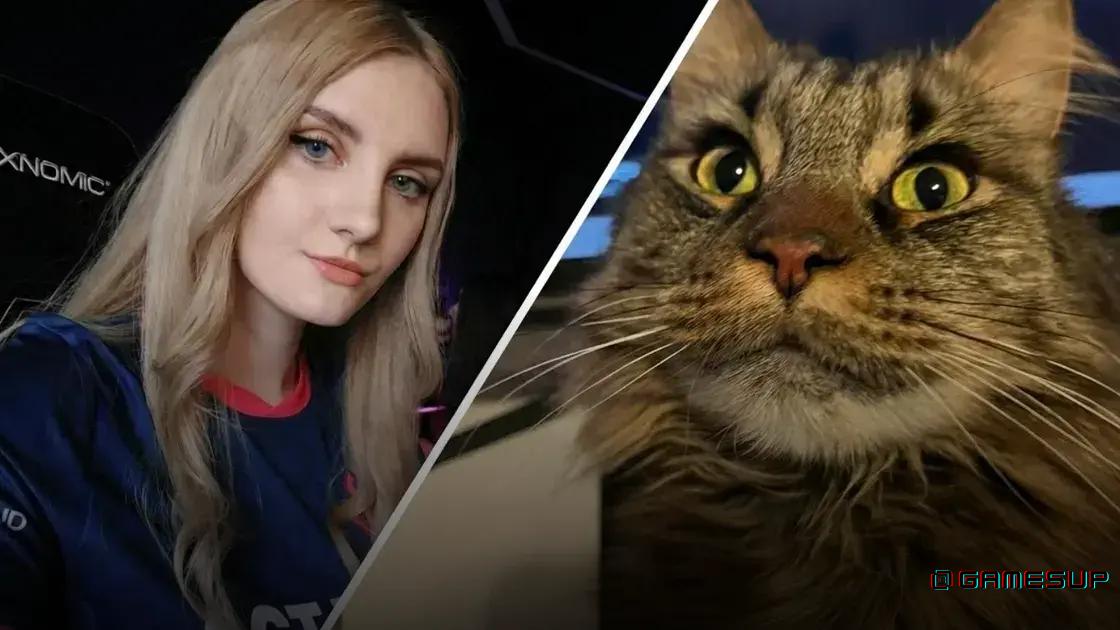 streamer League of Legends