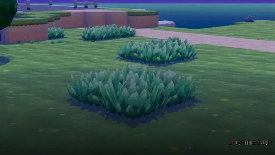 Pokémon habitat grama alta Pokopia